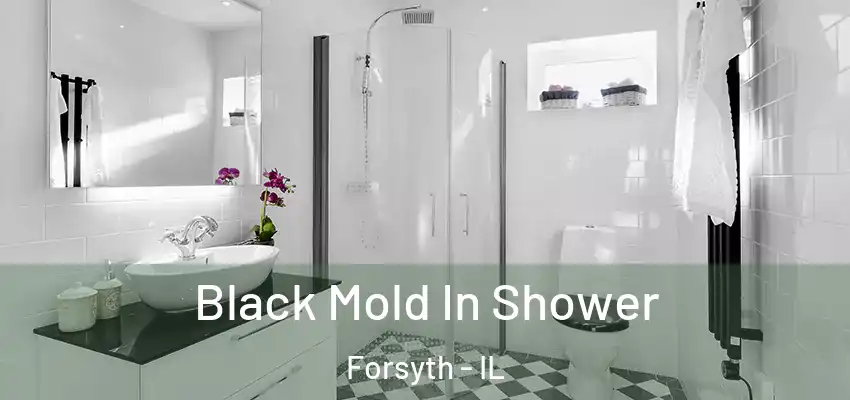  Black Mold In Shower Forsyth - IL