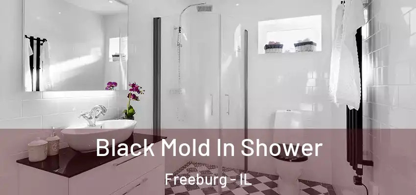 Black Mold In Shower Freeburg - IL