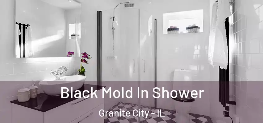 Black Mold In Shower Granite City - IL