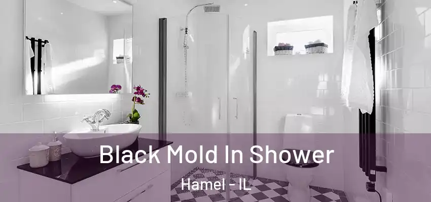  Black Mold In Shower Hamel - IL