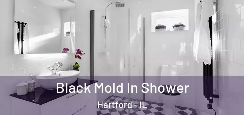 Black Mold In Shower Hartford - IL