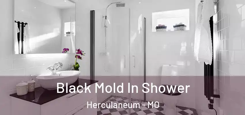  Black Mold In Shower Herculaneum - MO