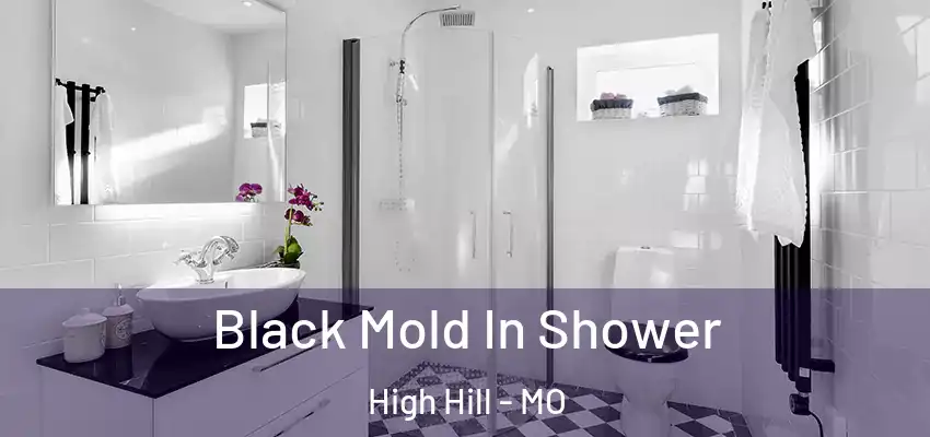  Black Mold In Shower High Hill - MO