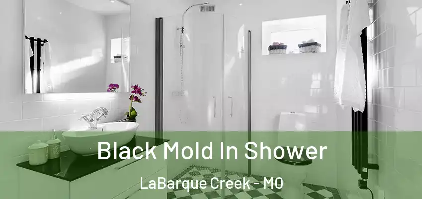  Black Mold In Shower LaBarque Creek - MO