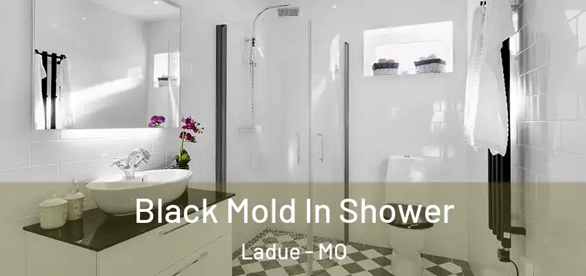  Black Mold In Shower Ladue - MO
