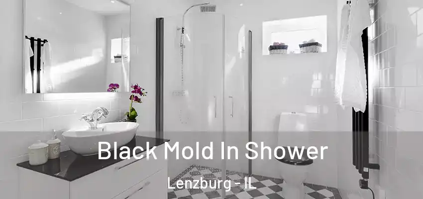  Black Mold In Shower Lenzburg - IL