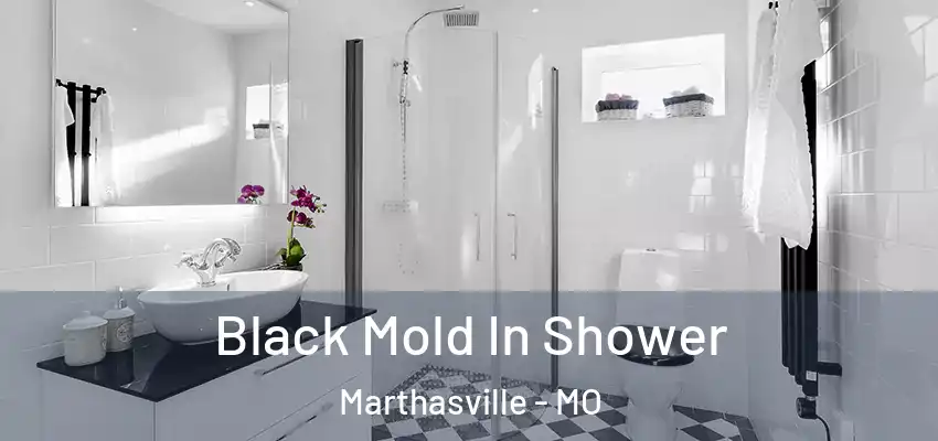 Black Mold In Shower Marthasville - MO