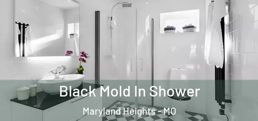 Black Mold In Shower Maryland Heights - MO