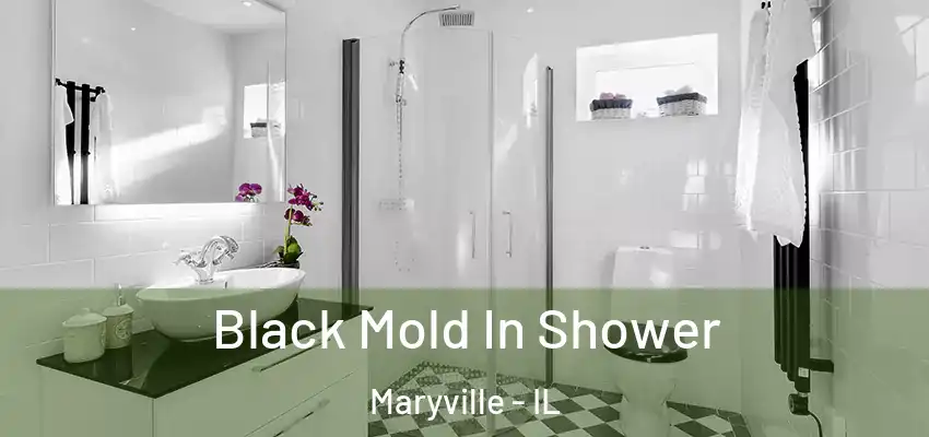  Black Mold In Shower Maryville - IL