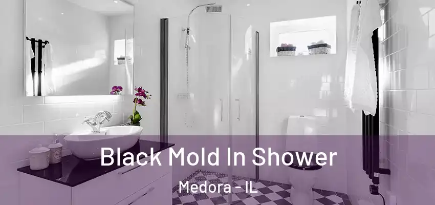  Black Mold In Shower Medora - IL