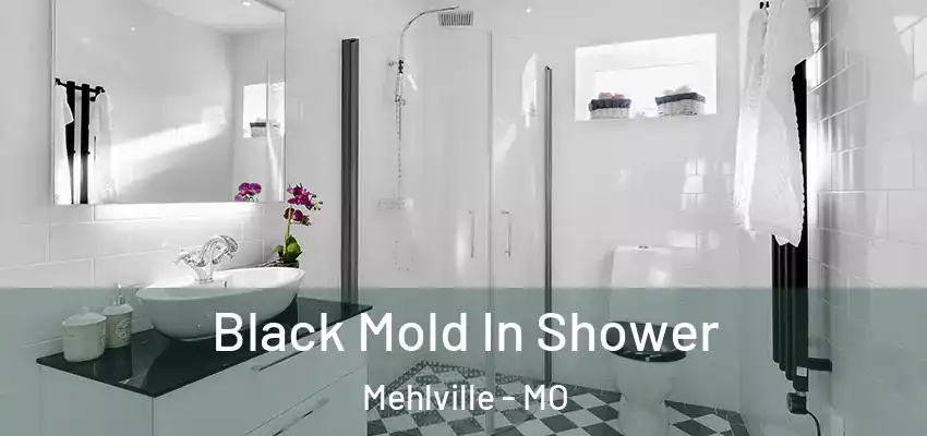 Black Mold In Shower Mehlville - MO