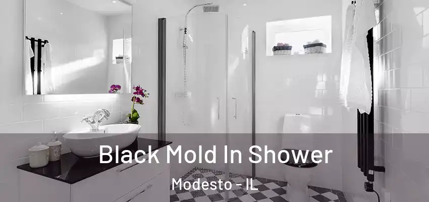  Black Mold In Shower Modesto - IL