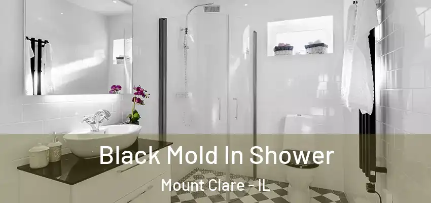  Black Mold In Shower Mount Clare - IL