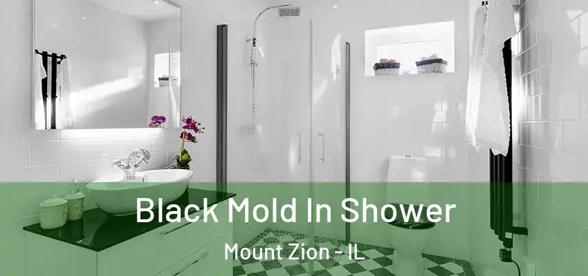  Black Mold In Shower Mount Zion - IL