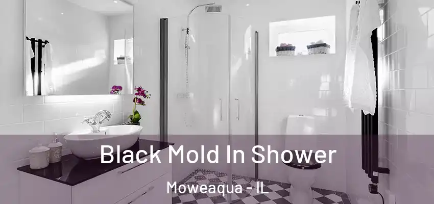  Black Mold In Shower Moweaqua - IL