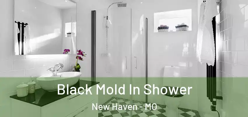  Black Mold In Shower New Haven - MO