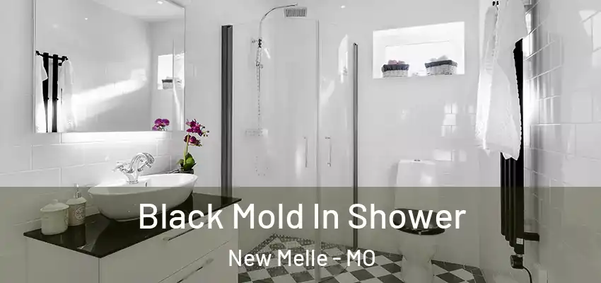  Black Mold In Shower New Melle - MO