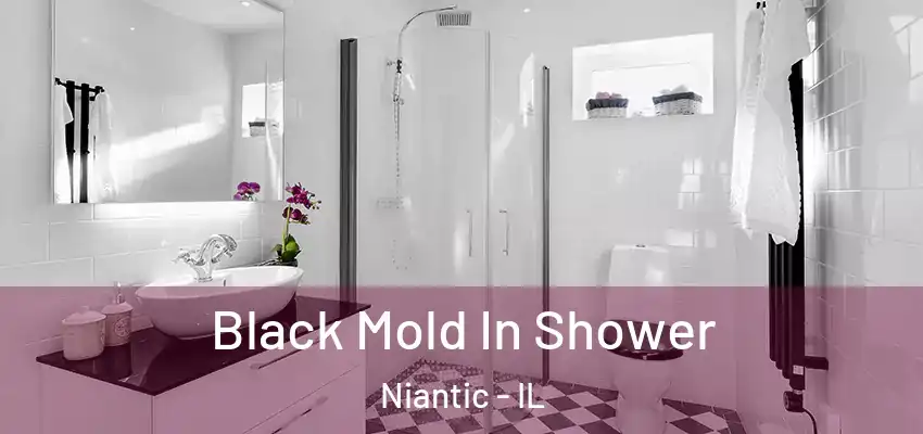  Black Mold In Shower Niantic - IL