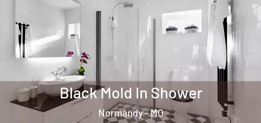  Black Mold In Shower Normandy - MO