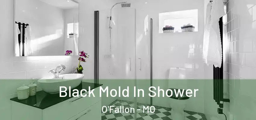  Black Mold In Shower O'Fallon - MO
