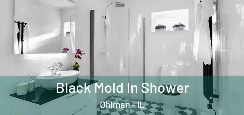  Black Mold In Shower Ohlman - IL