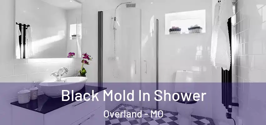  Black Mold In Shower Overland - MO