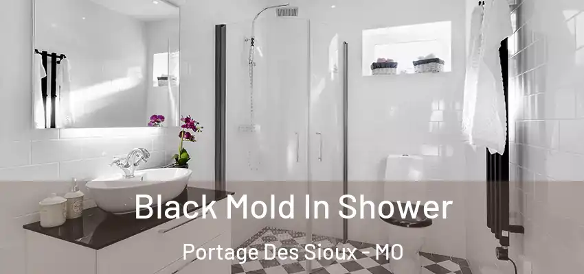 Black Mold In Shower Portage Des Sioux - MO