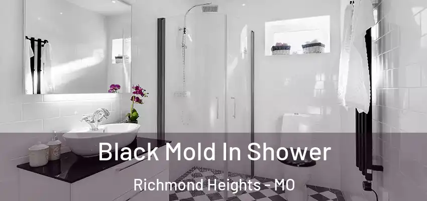  Black Mold In Shower Richmond Heights - MO