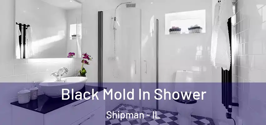  Black Mold In Shower Shipman - IL