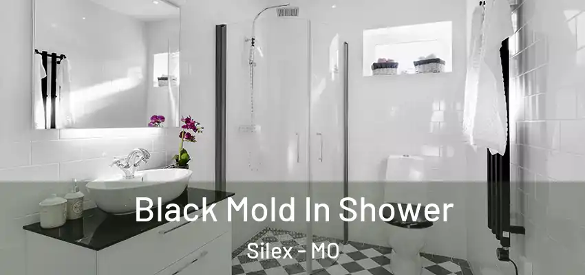  Black Mold In Shower Silex - MO
