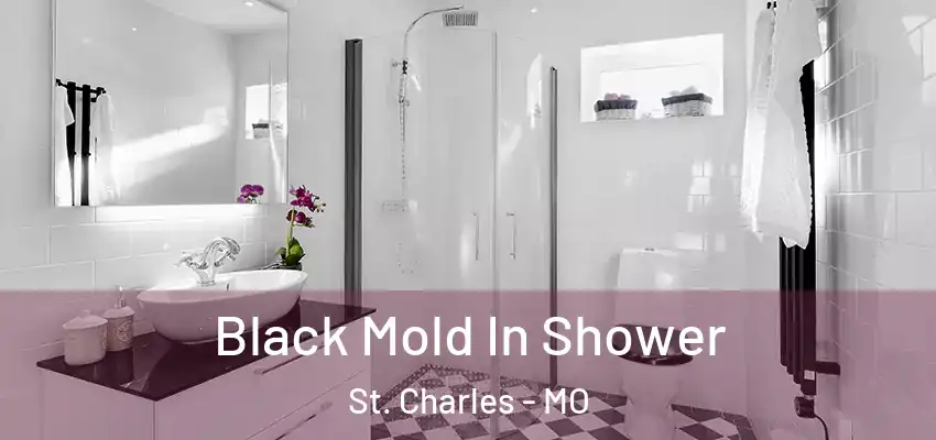  Black Mold In Shower St. Charles - MO