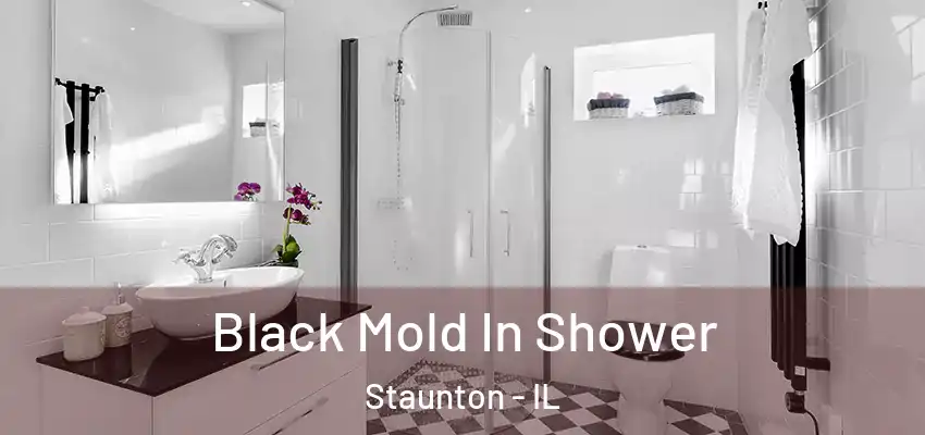  Black Mold In Shower Staunton - IL