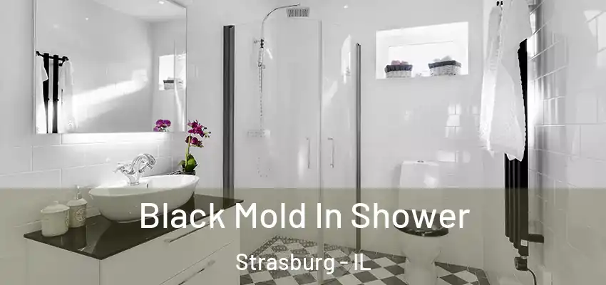  Black Mold In Shower Strasburg - IL