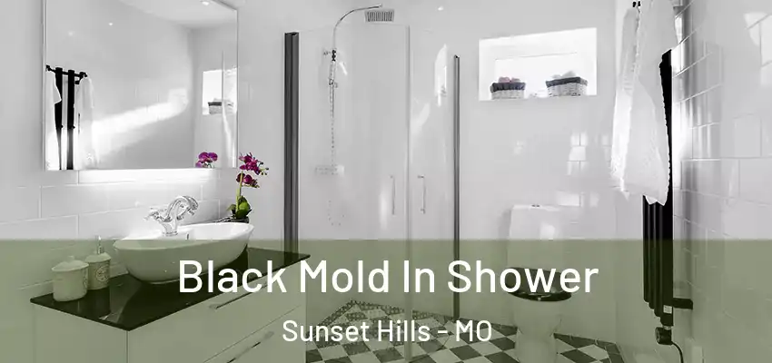  Black Mold In Shower Sunset Hills - MO