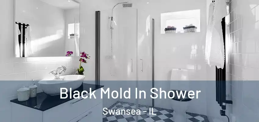  Black Mold In Shower Swansea - IL