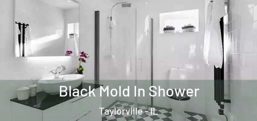  Black Mold In Shower Taylorville - IL