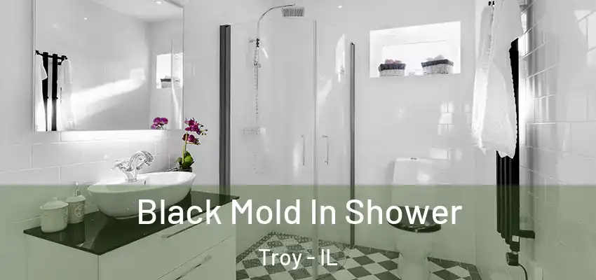  Black Mold In Shower Troy - IL