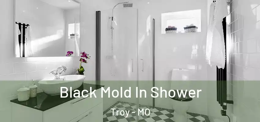  Black Mold In Shower Troy - MO