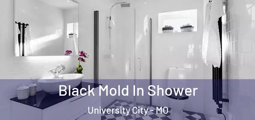 Black Mold In Shower University City - MO