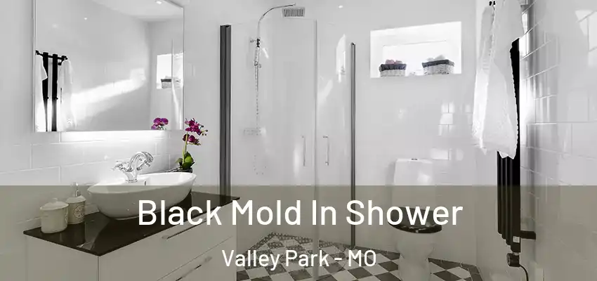  Black Mold In Shower Valley Park - MO