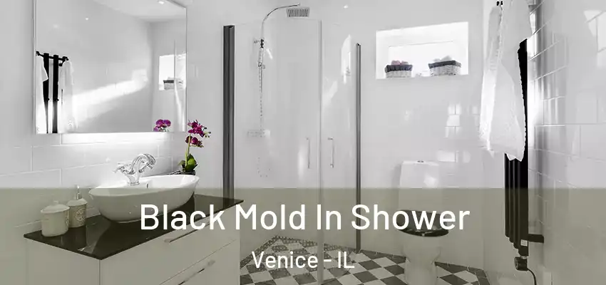  Black Mold In Shower Venice - IL