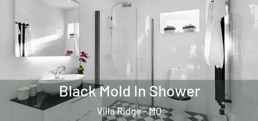  Black Mold In Shower Villa Ridge - MO