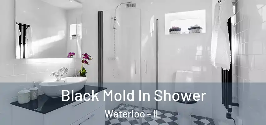  Black Mold In Shower Waterloo - IL
