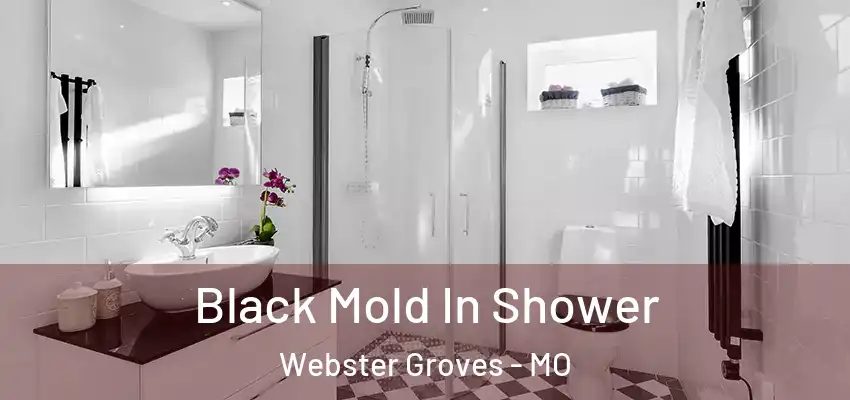  Black Mold In Shower Webster Groves - MO