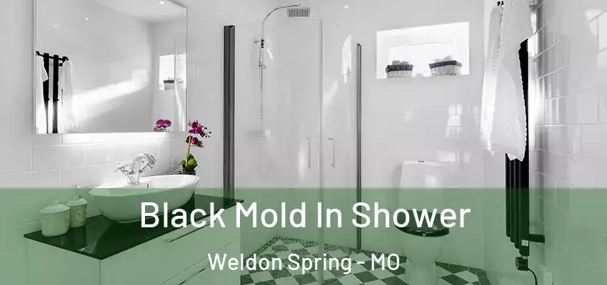 Black Mold In Shower Weldon Spring - MO