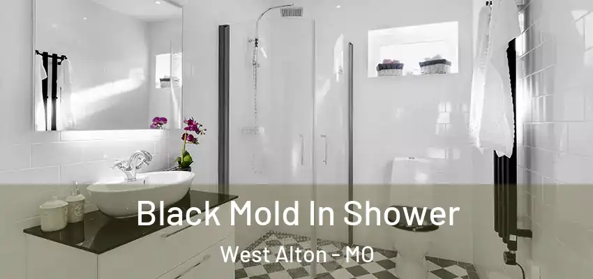  Black Mold In Shower West Alton - MO