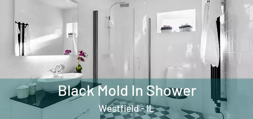  Black Mold In Shower Westfield - IL