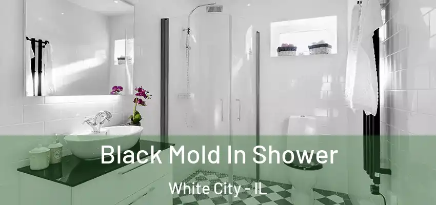 Black Mold In Shower White City - IL