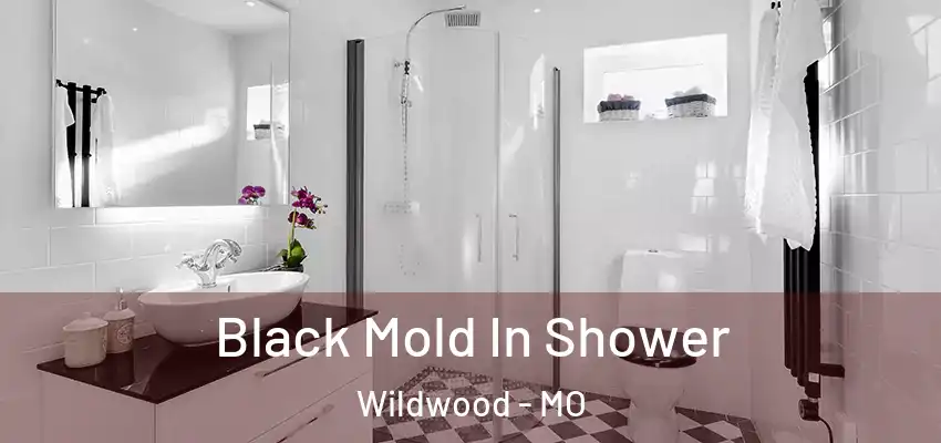  Black Mold In Shower Wildwood - MO