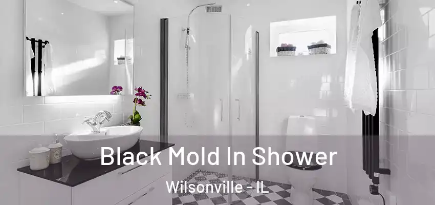  Black Mold In Shower Wilsonville - IL